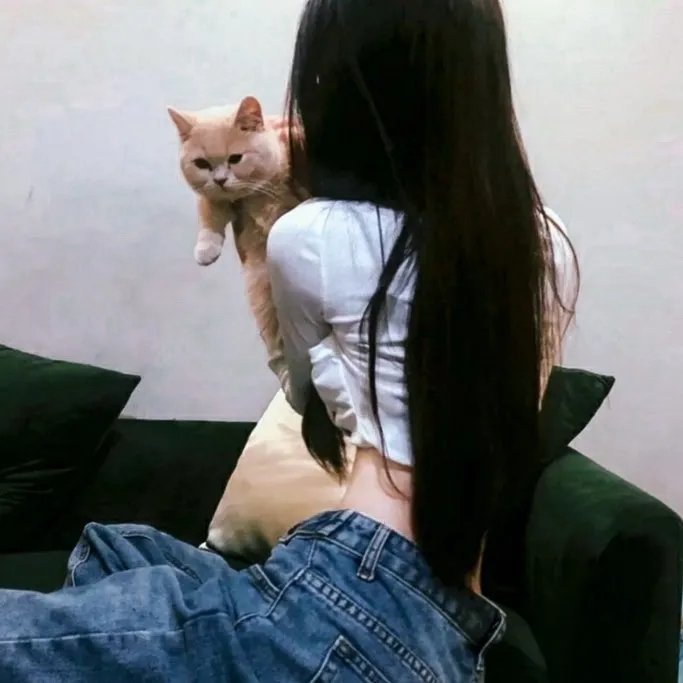金牌红娘