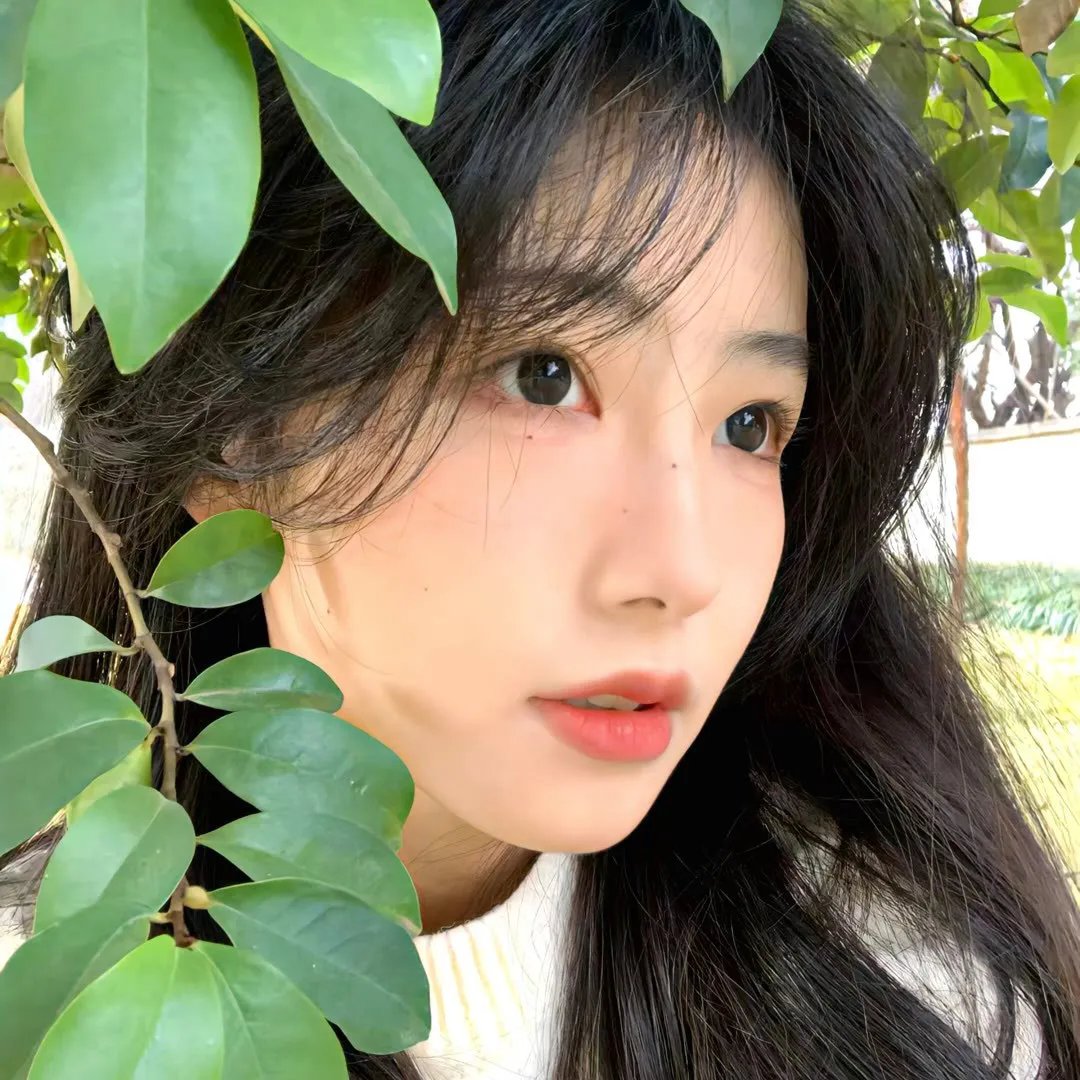 碧奇魂